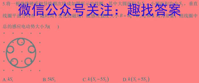 安徽省安庆市第十四中学2024年秋季初一新生入学问卷调查物理`