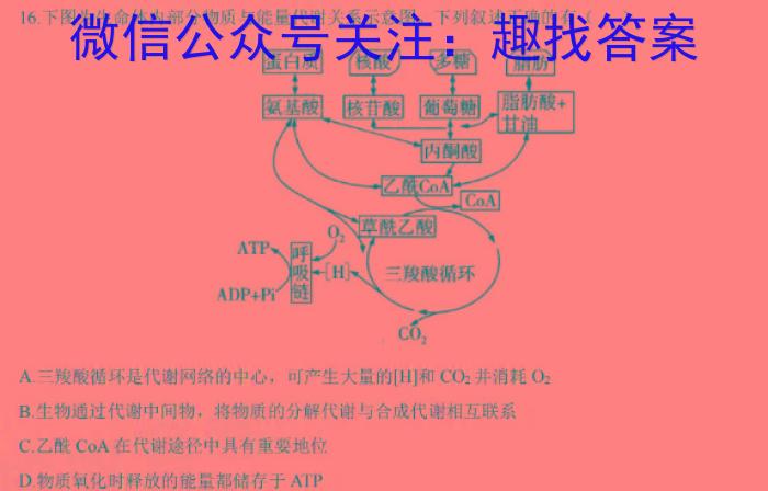 2024届智慧上进 名校学术联盟 高考模拟信息卷押题卷HN(十一)生物学试题答案