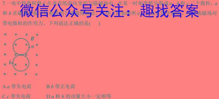 鄂东南教改联盟学校2024年五月模拟考试h物理