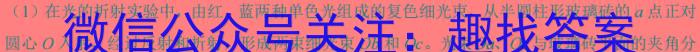 江西省2024年中考总复习专题训练 JX(二)2物理`