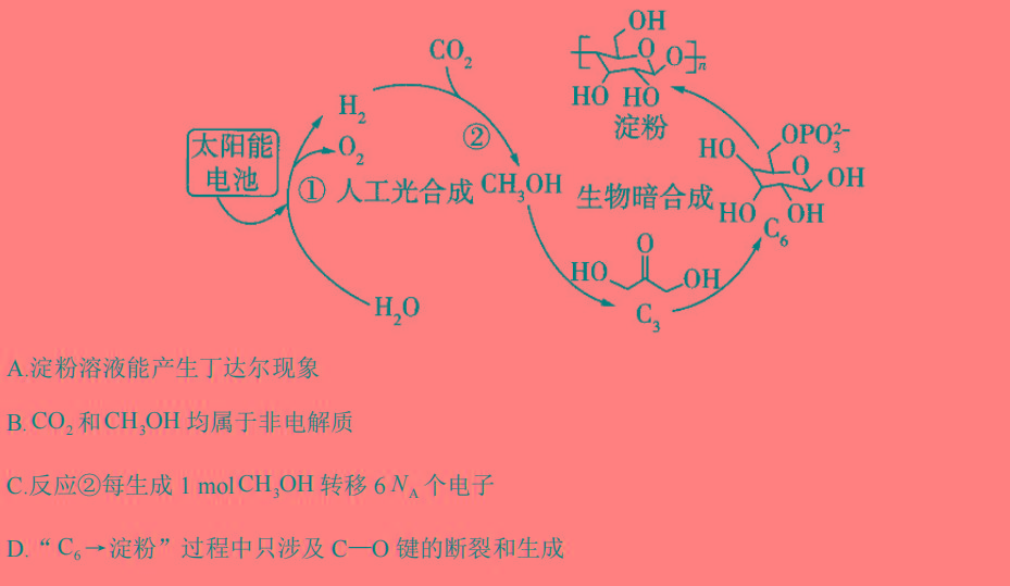 1陕西省2023-2024学年度第二学期学情检测（八年级）化学试卷答案