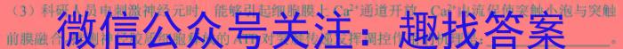 江西省修水县2023-2024学年度七年级下学期期末考试试题卷生物学试题答案