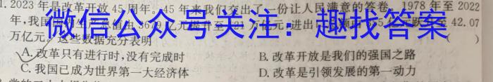 湖南省2024年12月九年级上学期质量抽检政治试卷d答案