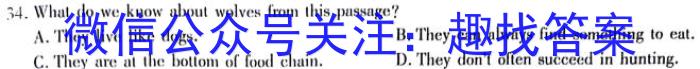 2024年邵阳市高二联考试题卷（期末）英语