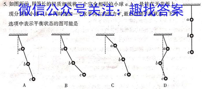 2024年河北省初中毕业生升学文化课模拟考试(导向二)h物理