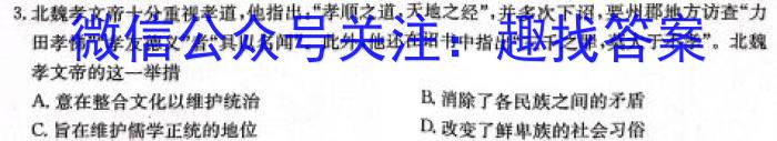 安徽省合肥市经开区2024年九年级学情调研试卷（二）历史试卷