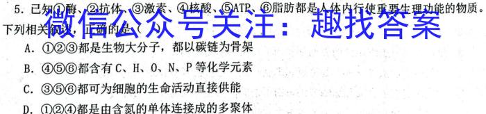 2024届智慧上进 名校学术联盟·高考模拟信息卷押题卷(十二)12生物学试题答案