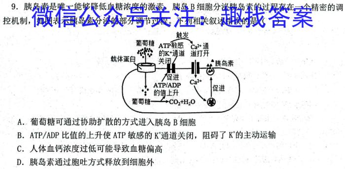 江西2024年初中学业水平考试原创仿真押题试题卷五5生物学试题答案