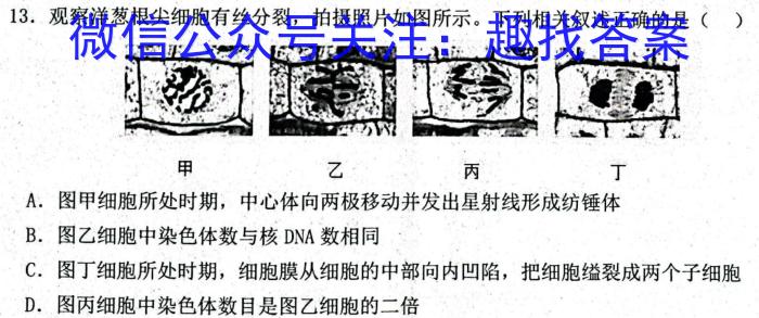 快乐考生 2024届双考信息卷·第六辑 预判高考 猜题卷(三)3生物学试题答案