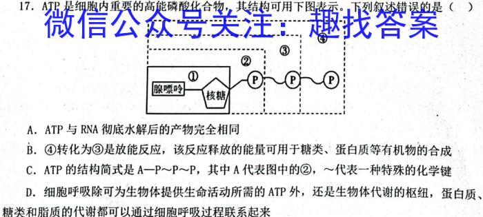 湖北省2024年春"荆、荆、襄、宜四地七校考试联盟"高二期中联考生物学试题答案