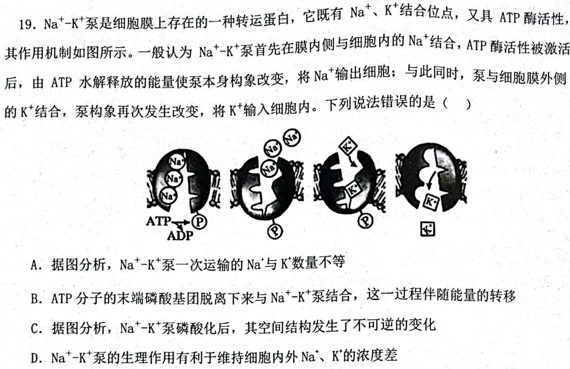 江西省赣州市2023~2024学年度高二第二学期期中考试(2024年4月)生物