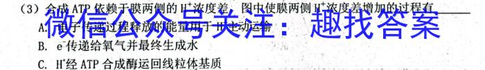 安徽省2023-2024学年度第二学期九年级作业辅导练习生物学试题答案