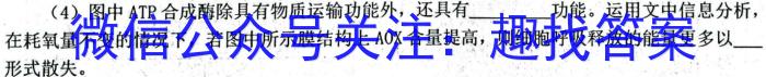 扬州市2023-2024学年第二学期期末检测（高二）生物学试题答案