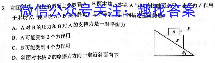 河北省2024年邯郸市中考模拟试题（6.14）物理试题答案