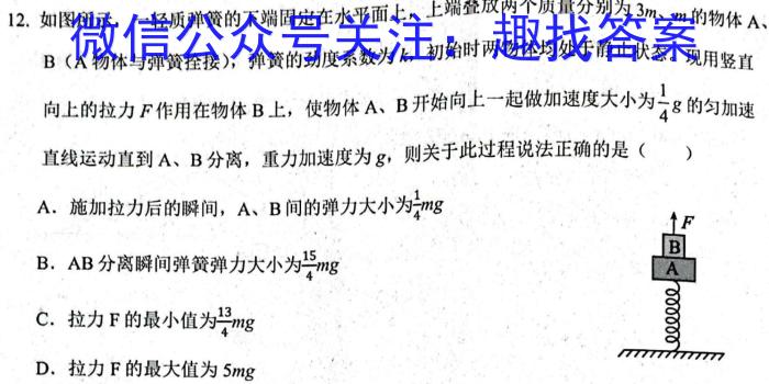 江西省新余市某校2023-2024初三年级下学期开学考试h物理