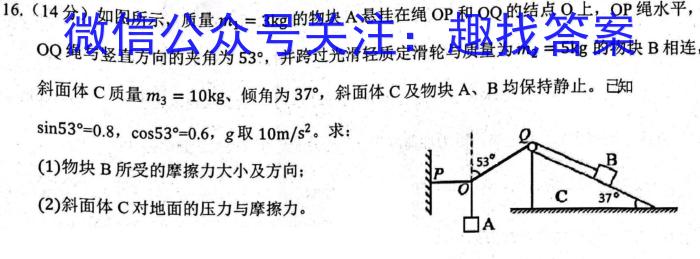 2024届河南省中考导向总复习试卷（二）物理试卷答案