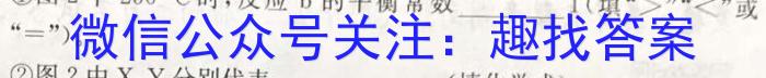 陕西省2023-2024学年度下学期高一年级开学收心考试化学