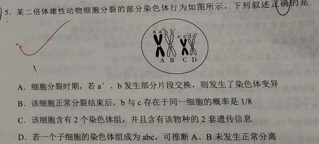 东北三省三校2024年高三第四次联合模拟考试生物学部分