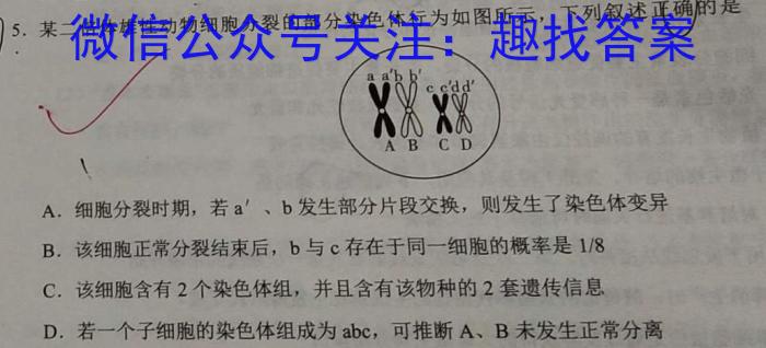 京师测评2024安徽省高三质量联合检测试卷(5.5)生物学试题答案