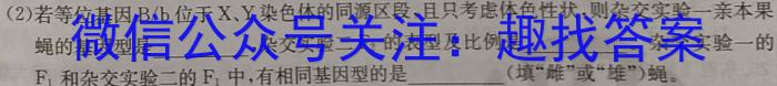 湖北2024年云学名校联盟高一年级3月联考生物学试题答案