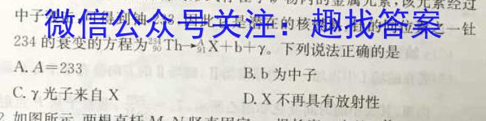 六盘水市2023-2024学年度第二学期高一年级期中质量监测物理试卷答案