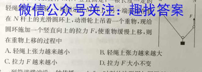 江淮名卷2024年省城名校中考调研(一)物理`