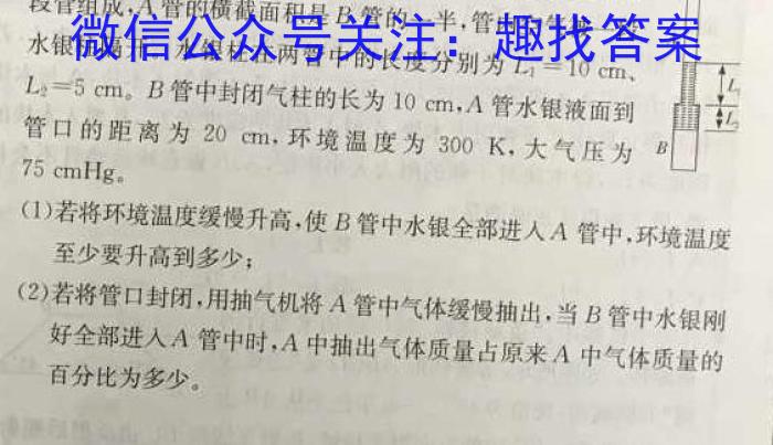 2024年湖北省初中学业水平考试信息卷(冲刺卷系列)物理试题答案