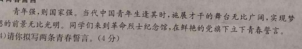 安徽省2024年天长市实验中学教育集团中考第三次模拟测试思想政治部分