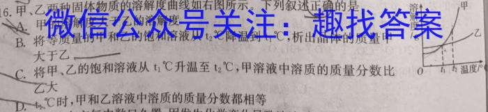 32024年河北省初中毕业生升学文化课模拟考试(一)化学试题