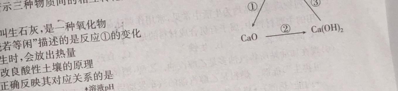 【热荐】陕西省榆林市第五中学2024-2025学年度第一学期七年级入学检测考试化学