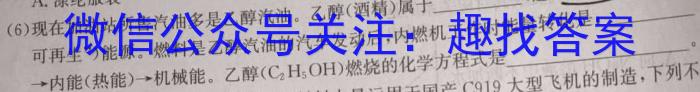 河北2024-2025学年第一学期九年级教学质量检测四化学