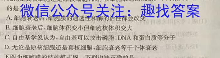 安徽省2023-2024学年第二学期蚌埠八年级G5教研联盟3月份调研考试生物学试题答案