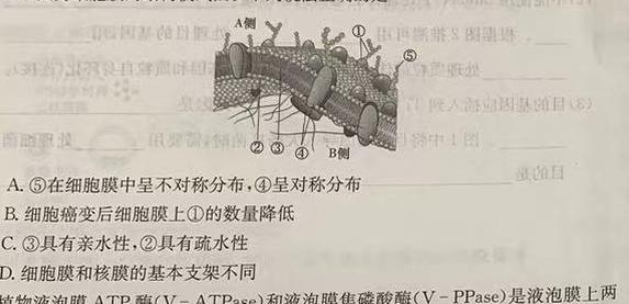 安徽省2023-2024学年度第二学期九年级阶段模考生物学部分