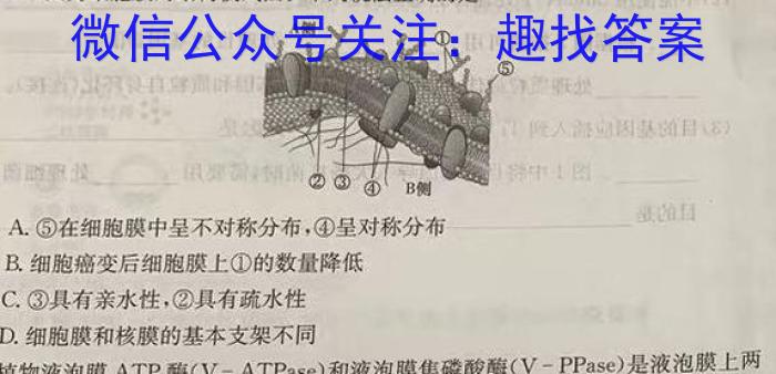 山东省潍坊市2024年高考模拟训练调研试题（二）生物学试题答案