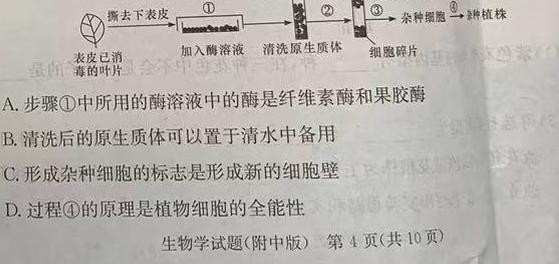 陕西省大荔县2023-2024学年(下)高二年级期末质量检测生物