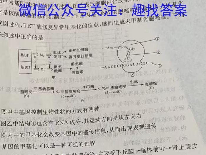 [合肥一模]安徽省2024年合肥市高三第一次教学质量检测生物学试题答案