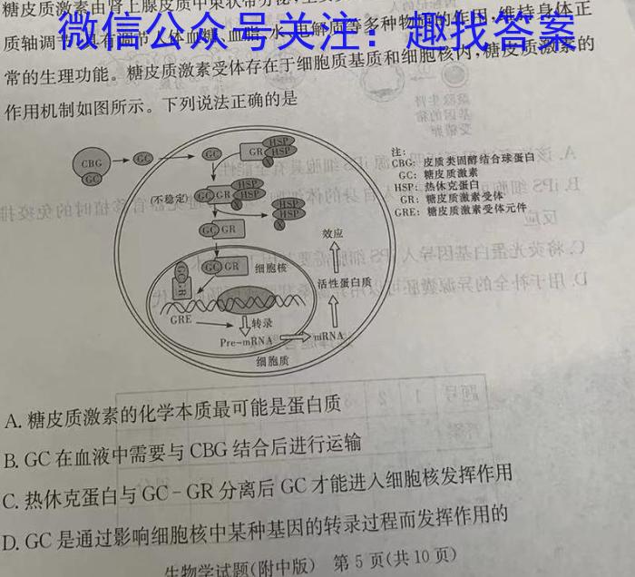 江西省2024年初中学业水平考试原创仿真押题试题卷二生物学试题答案