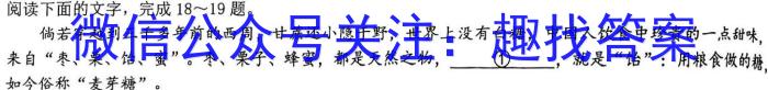 陕西省2024届高三第三次校际联考语文