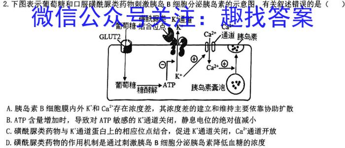 百师联盟 2024届高三开年摸底联考 新高考卷生物学试题答案