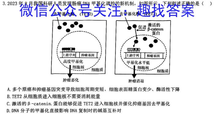 河南2023-2024学年高三第一次模拟考试生物学试题答案