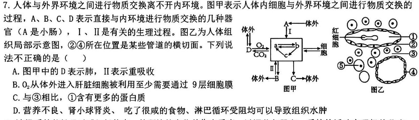 安徽省2024年九年级教学质量检测（5月）生物