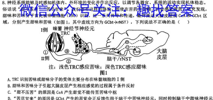 吉林省2023-2024学年上学期高二年级期末考试试卷（242444D）生物学试题答案