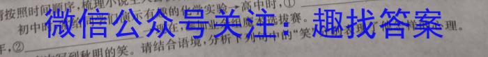 ［甘肃一诊］2024年甘肃省第一次高考诊断考试（甘肃一模）语文