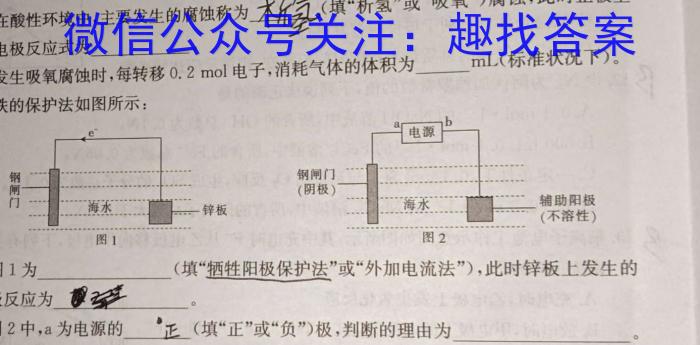 山东省高二2024年临沂市2022级普通高中学科素养水平监测试卷化学