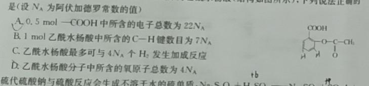 11号卷·2024年A10联盟2023级高二上学期9月初开学摸底考化学试卷答案