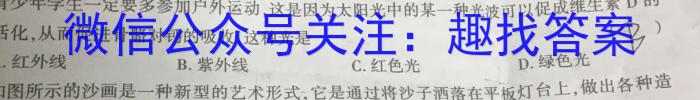 安徽省2024届九年级5月联考试题卷（三）（无标题）物理`