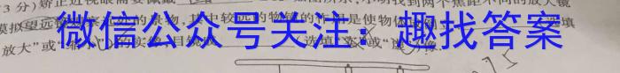 2024届智慧上进 名校学术联盟·高考模拟信息卷押题卷(十二)12物理