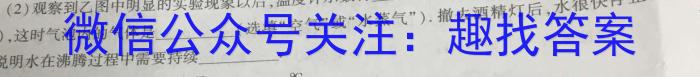 安徽省2025届九年级阶段评估(一)[△-AH]物理试题答案