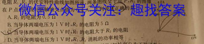 湖北省武汉市2024届高三年级五月模拟训练试题(2024.5.21)物理`