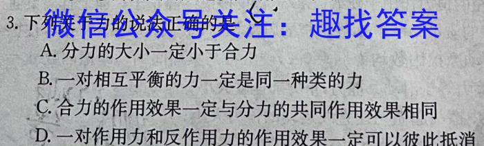 河北省2024年九年级4月模拟(六)q物理